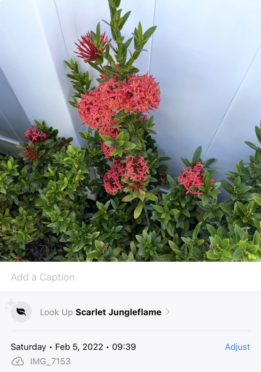 Guillaume🌈 tweet media