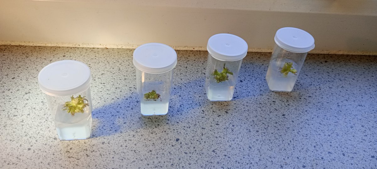 National Centre for Biotechnology Education tweet media