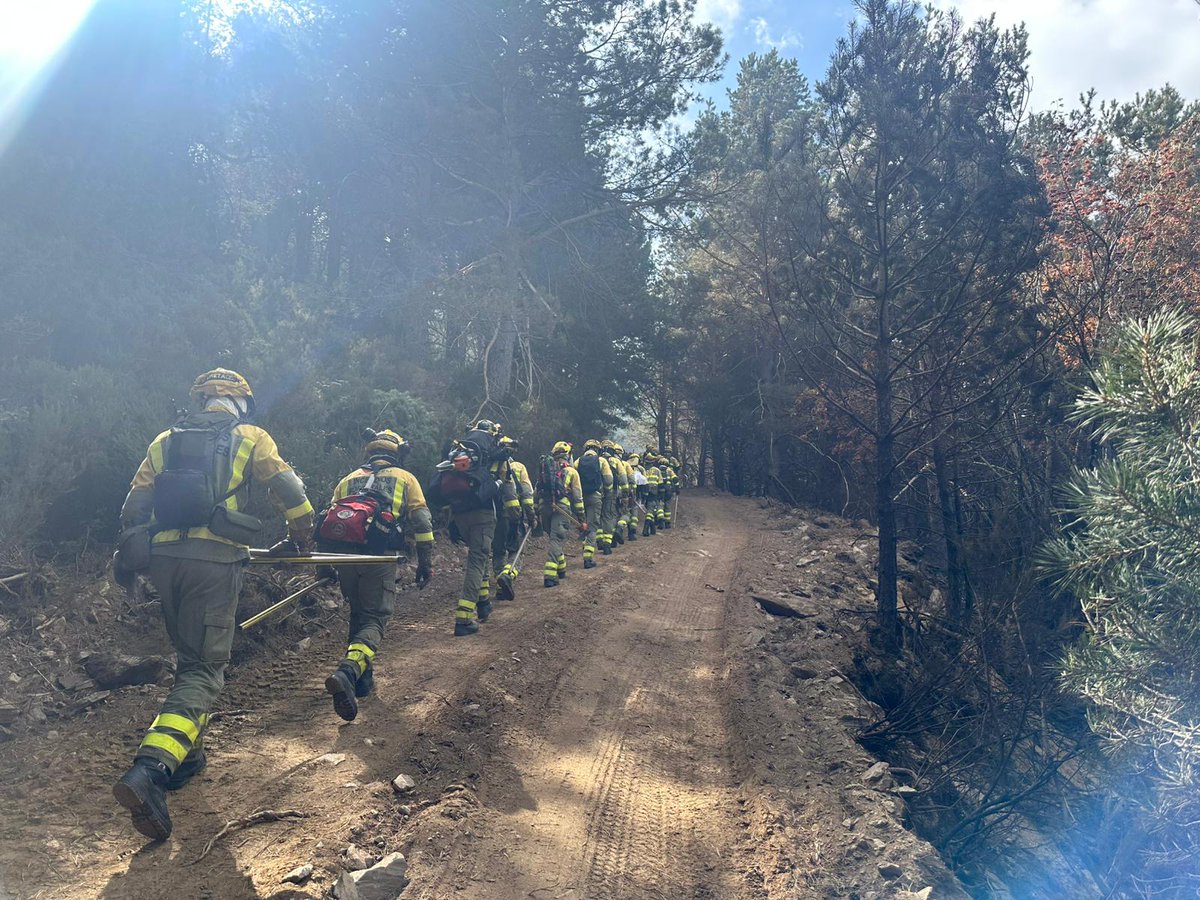 13:09📸#IFPeñalbaDeLaSierra #Guadalajara 

<a href="/briflubia/">BRIF-A LUBIA</a> y BH Morata de Tajuña <a href="/BBFFMadrid/">Bomberos Forestales Comunidad de Madrid</a> accediendo a zona norte para trabajar en labores de consolidación de perímetro con línea negra.

Somos #BRIF de <a href="/mitecogob/">Transición Ecológica y Reto Demográfico</a>