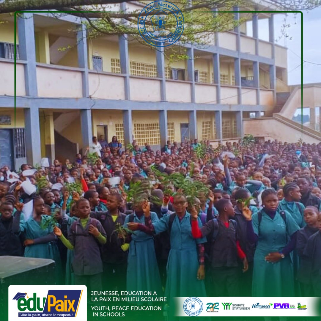 zenu network tweet media