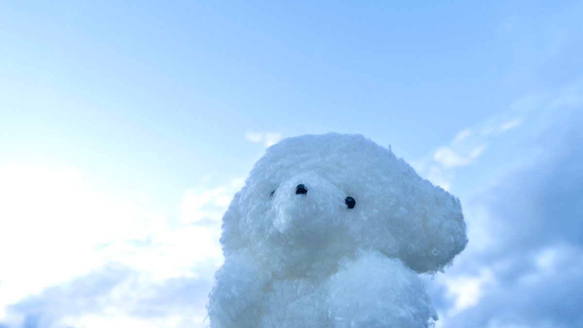 josemaru_model's tweet photo. ひとりぼち　さびしだけど　らく https://t.co/NpncFY2An2