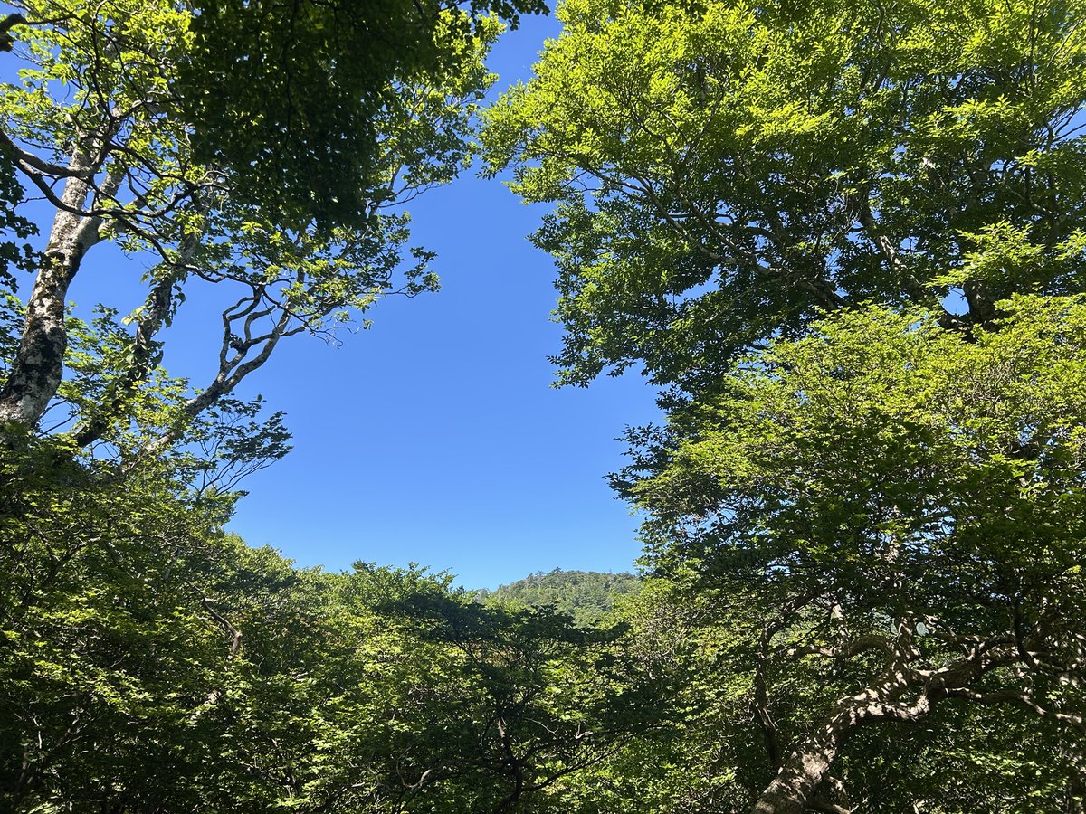 無力さが心を蝕む
過ぎていく一人きりの
時間感じて
悪びれずにはしゃいで
怖いもの知らずな自分
この胸に
何を感じて
生きているの
そう問われた時
心の中
舌打ちした
輝ない荒削りな
心がそこに
ありました