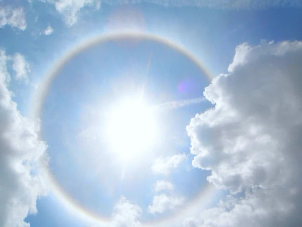 10 bonnes nouvelles à ne pas manquer : [Fil à dérouler] 🧵 :

1. La couche d'ozone devrait se reconstituer complètement aux alentours de 2050 grâce à l'arrêt mondial des chlorofluorocarbones, ce qui réduira les rayons UV nocifs et limitera le réchauffement climatique.