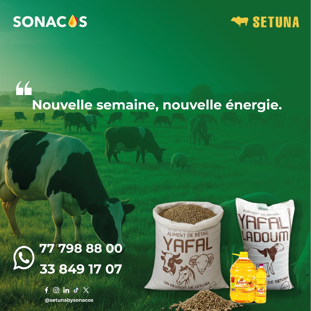 setunabysonacos's tweet photo. Nouvelle semaine, nouvelle énergie 💚
Avec SETUNA by @SonacosS , vos animaux reçoivent la nutrition qu’ils méritent 🐄🐑
📞 77 798 88 00 | 33 849 17 07
#SETUNA #Sonacos #Yafal #Élevage #SouverainetéAlimentaire » https://t.co/OLcen2f8LX