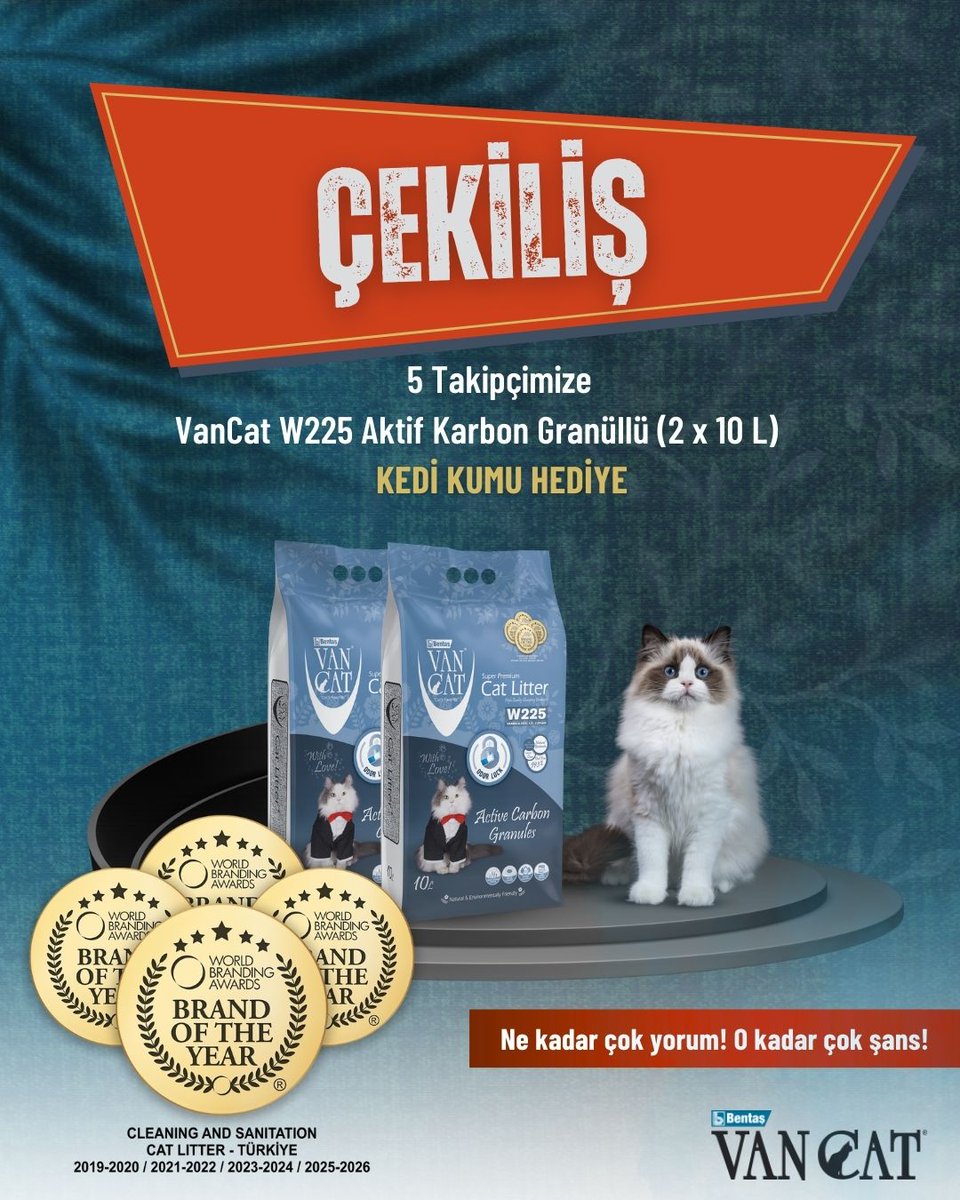 VanCat Türkiye tweet media