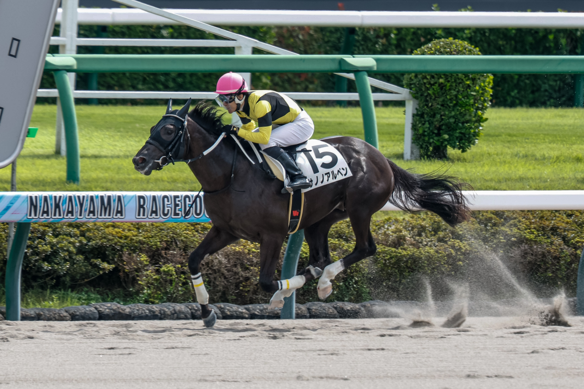競馬　JRA 実使用ゼッケン　マカオンドール　G2日経賞 競馬 JRA 実使用ゼッケン マカオンドール G2日経賞 競馬 JRA 実