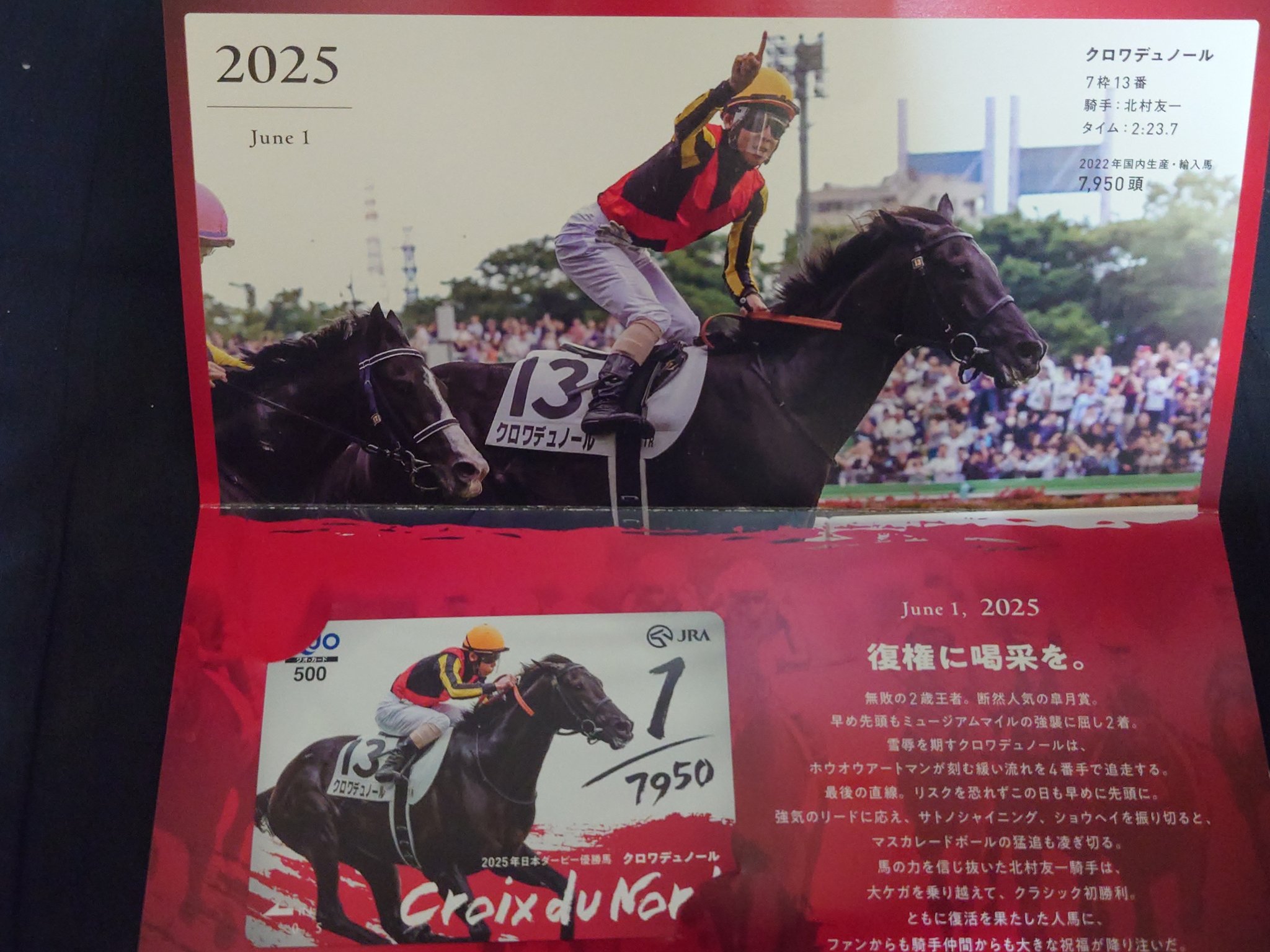 日本ダービー - Search / X