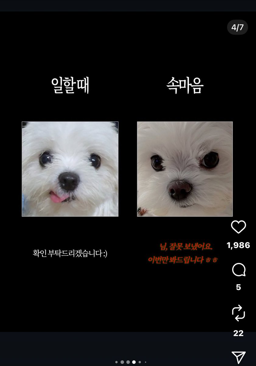 앚웆누나 tweet media