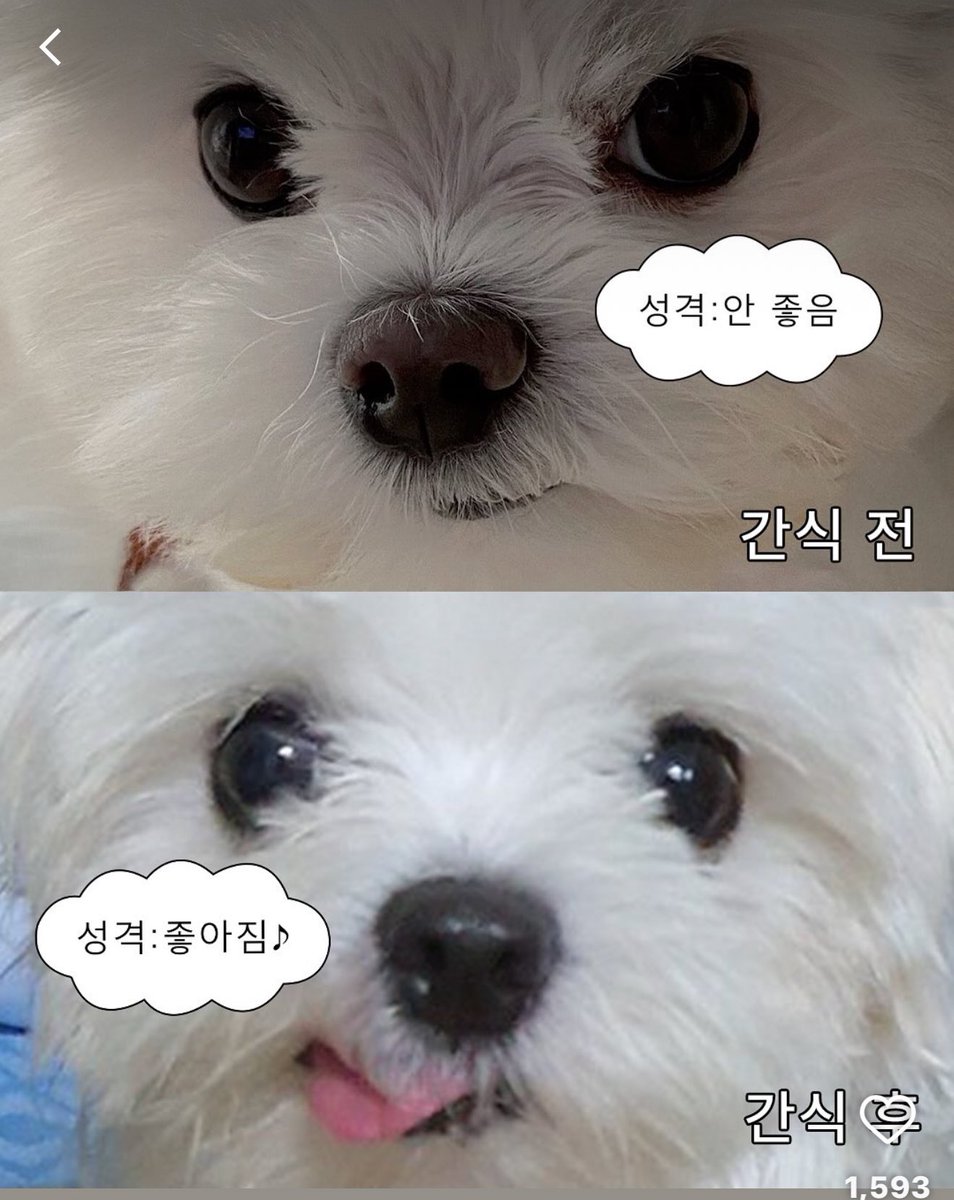 우주 사진이 업체 홍보 게시글로 뜨길래
구글링 해보니 다른 곳에도 올려져있음
출처가 핀터레스트란다 ㅋㅋㅋ
어째 출처가 핀터레스트가 될 수 있노...
걔넨 걍 플랫폼 노릇만 하는건데
출처가 확실한 사진 아니면 홍보에 쓰질 말던가