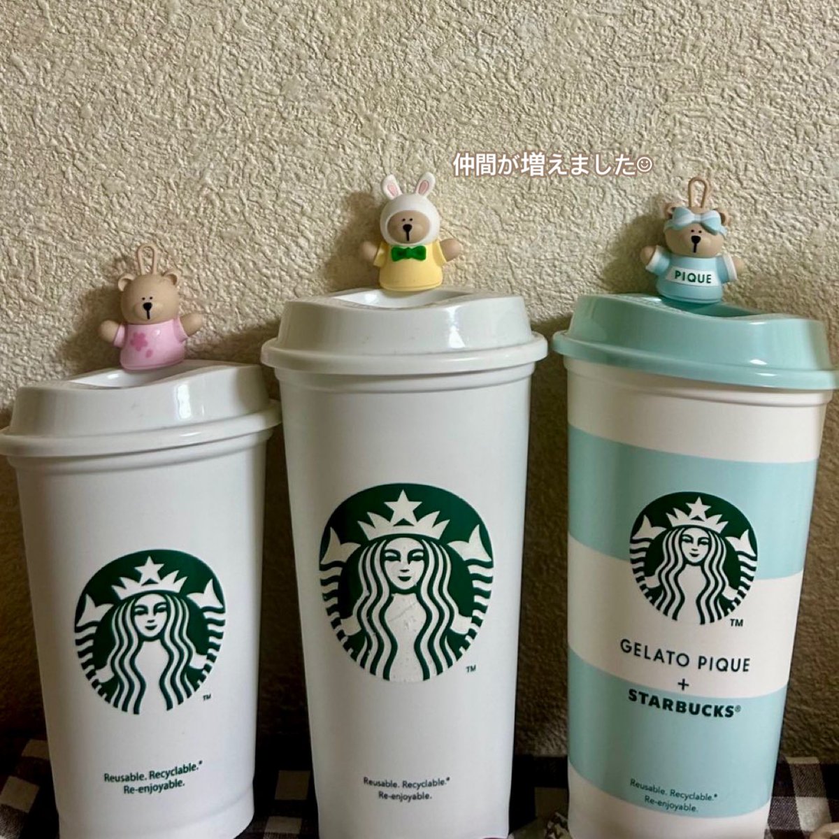 Starbucks × gelato pique 

朝からお迎えしてきました🧸🫶🏻