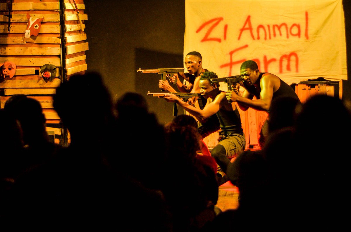 Savanna Trust tweet media