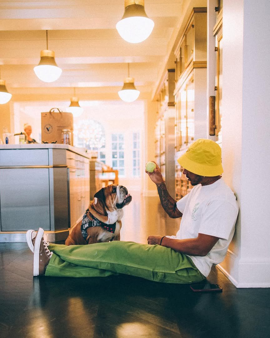 Roscoe ha fallecido esta noche

Mucho ánimo <a href="/LewisHamilton/">Lewis Hamilton</a>