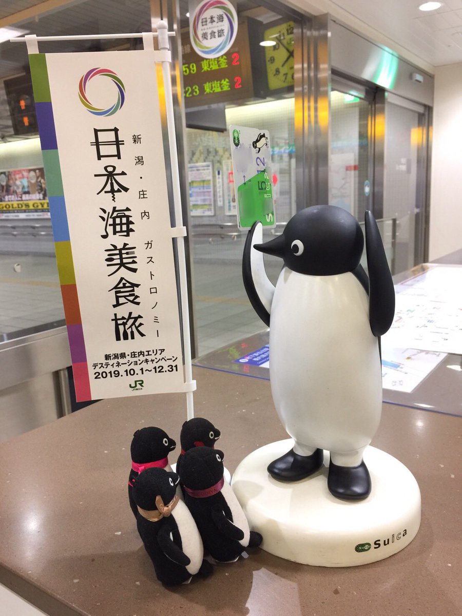 #これを見た人は無言で写真フォルダの適当な画像貼れ