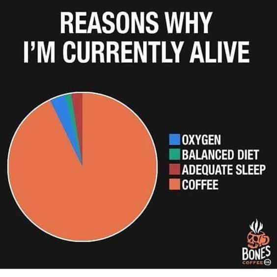 Happy Monday!  Have some coffee, stay alive !