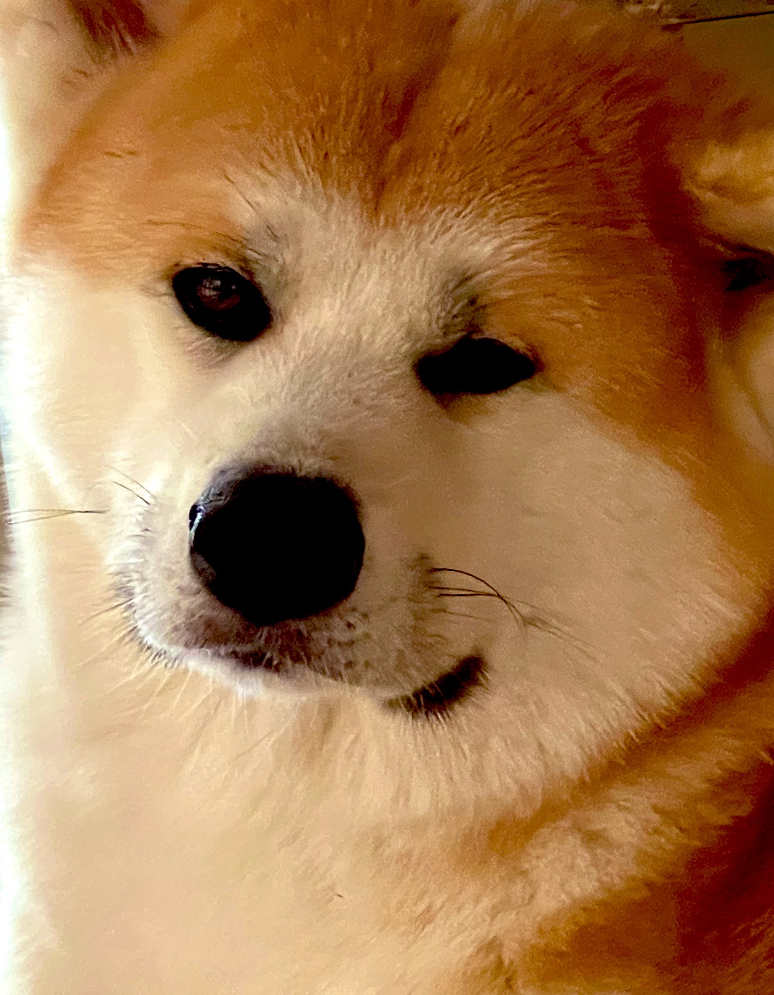 @セール実演中❣️ Shanghai 🤍 ワンホンメイクしてもらった メニメニジャージェー