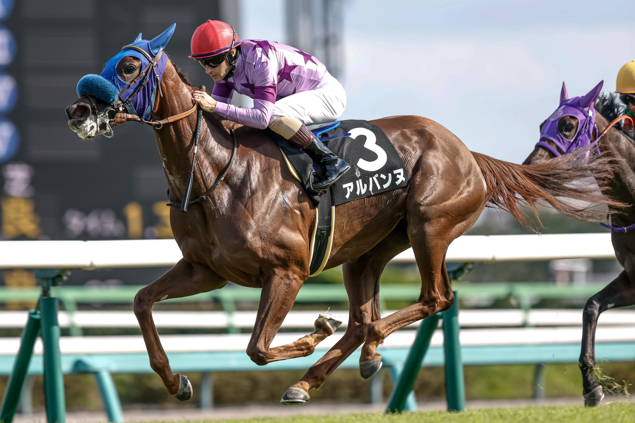 美品 AKRIS マルベリーシルク カシミヤ ハイネックモヘアニット