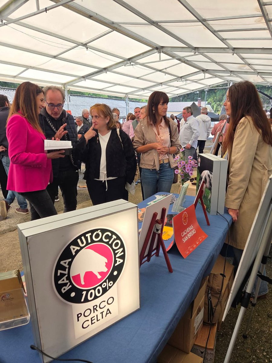 ASOPORCEL tweet media