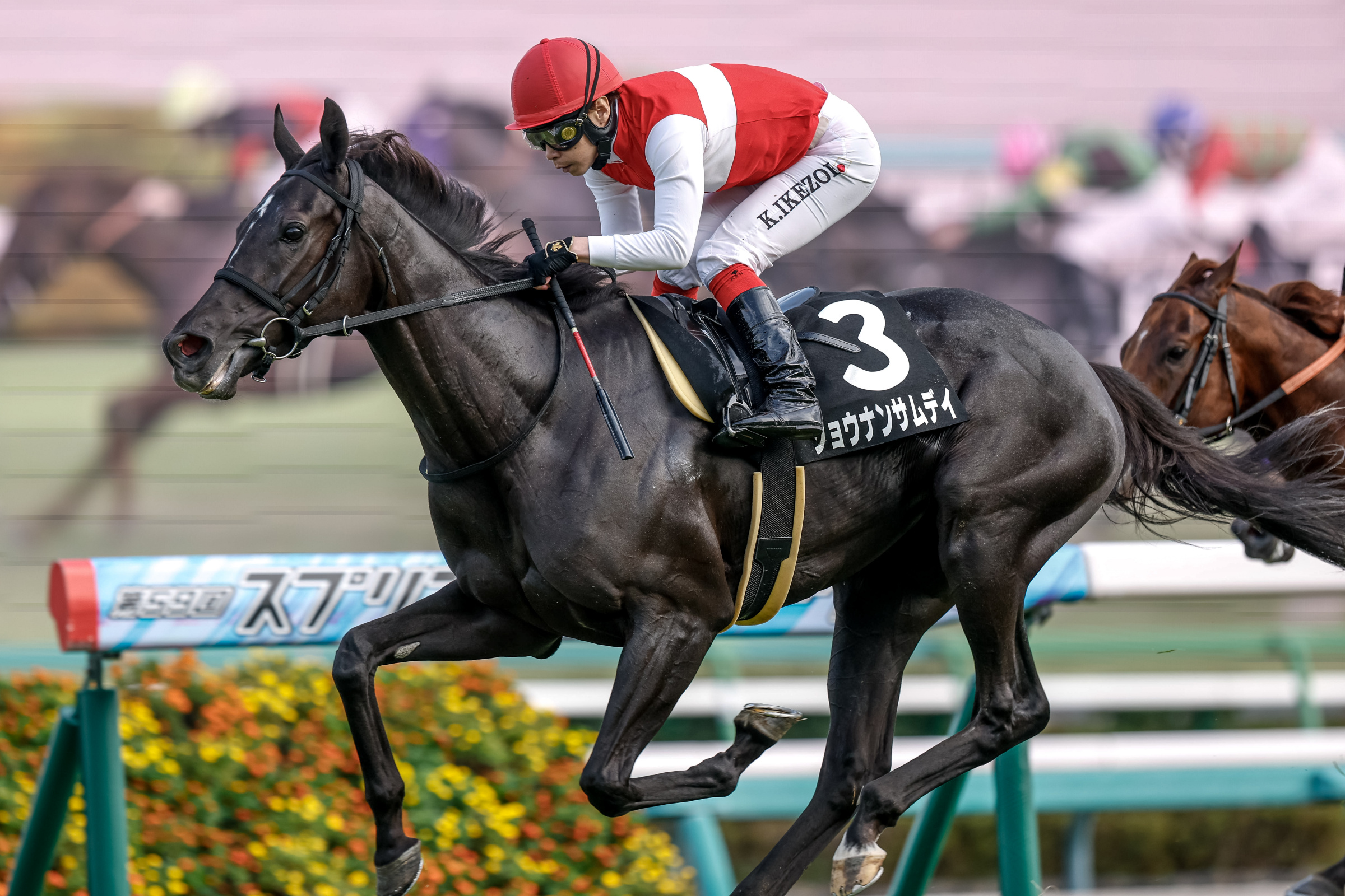競馬ファン必見‼️超レア‼️第38回皐月賞優勝記念 競馬ファン必見‼️超レア‼️第38回皐月賞優勝記念