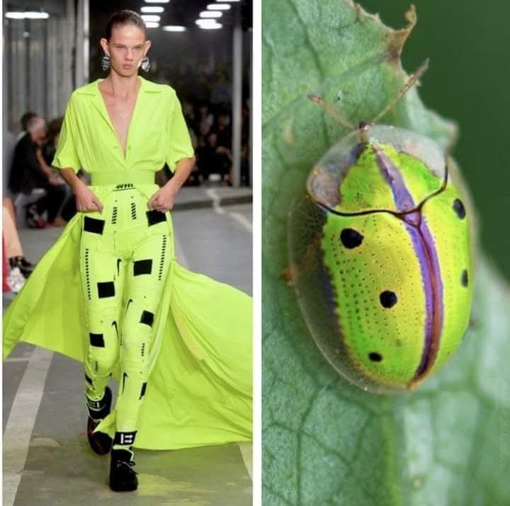 (Cianci Ulises) (@cianciulises) on Twitter photo 