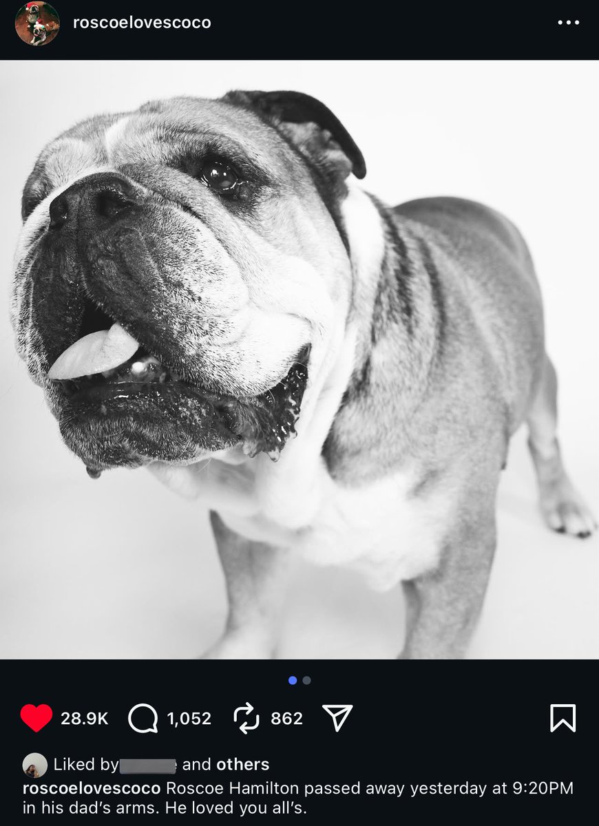 PrincessShuri's tweet photo. genuinely crying at the caption https://t.co/E0fa8aUrOY