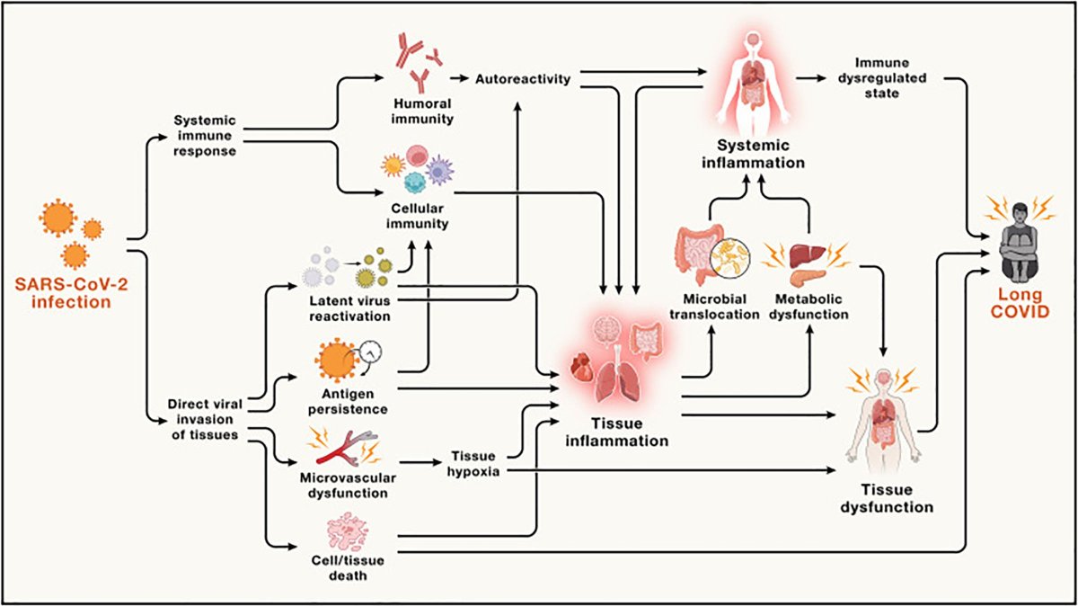 Very interesting article on myalgic encephalomyelitis/chronic fatigue syndrome and Long-COVID. #immunometabolism. 

<a href="/Immunometaboli2/">Immunometabolism</a> 

journals.lww.com/immunometaboli…