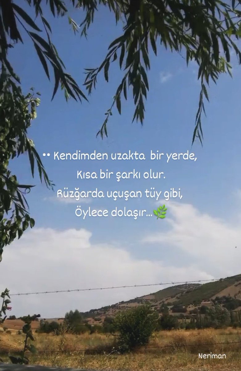 •• Bir yerden bir yere uçuyorsa kuşlar;
Mevsimler değişmiştir, 
İnsanlarda...
    Cahit Zarifoglu