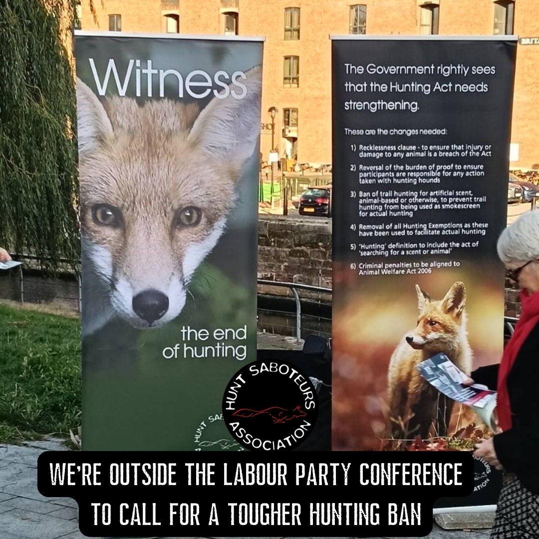 HuntSabs tweet picture