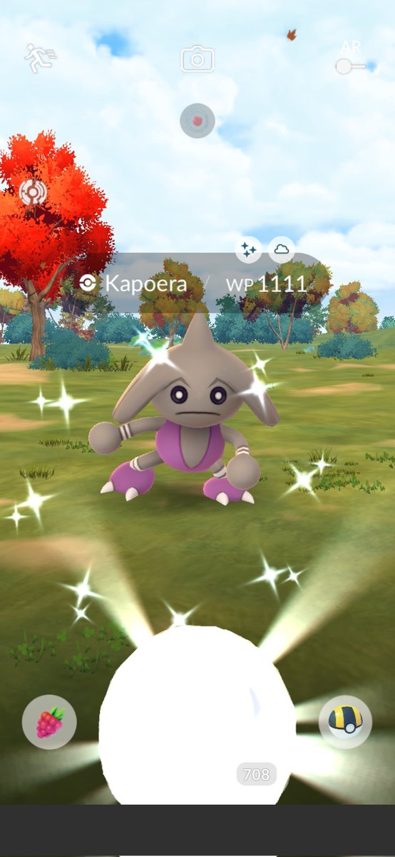 BadBoy 18999 40x11(50) tweet media