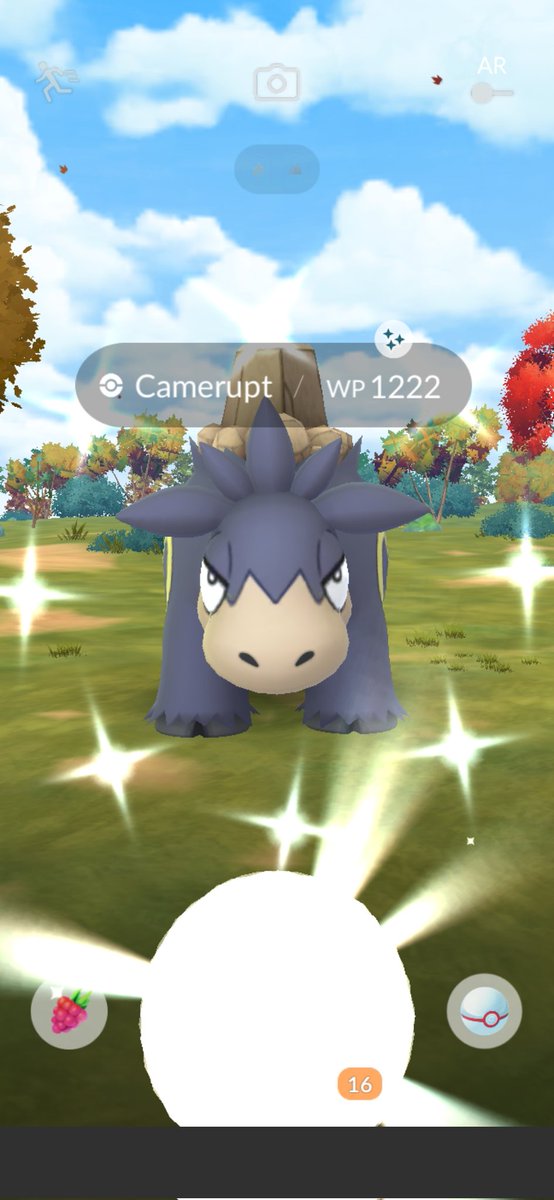 BadBoy 18999 40x11(50) tweet media