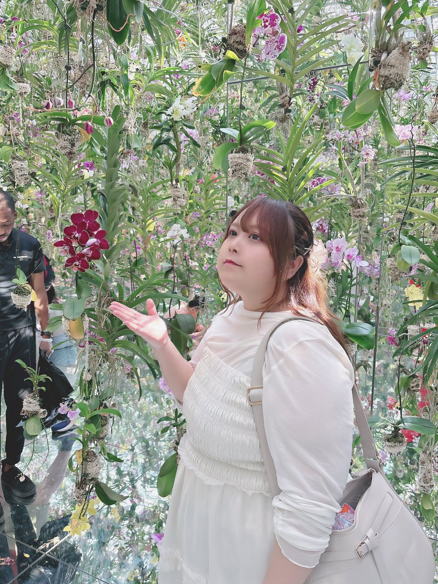 Aren_mf's tweet photo. 僕は生きてますお😎 https://t.co/0bHVG3xIfd
