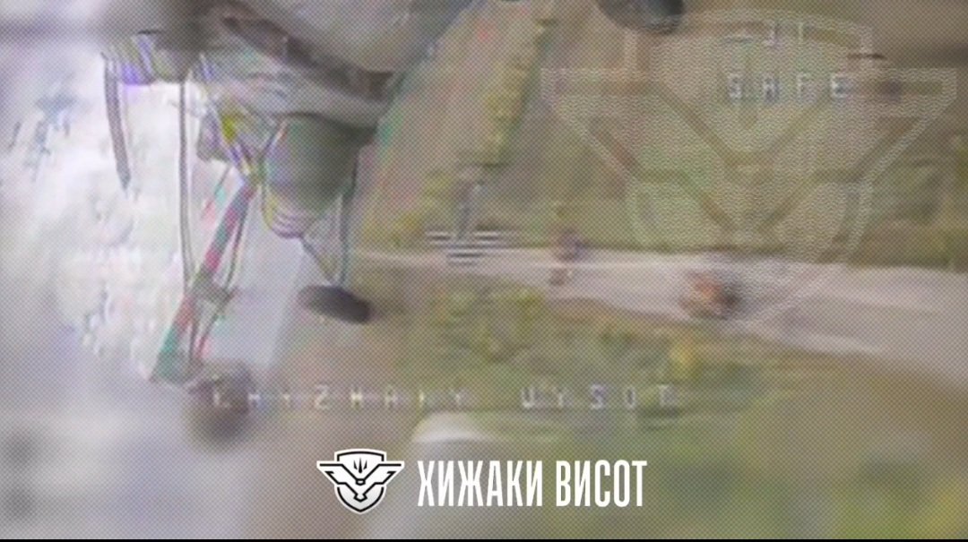 Status-6 (War & Military News) tweet media