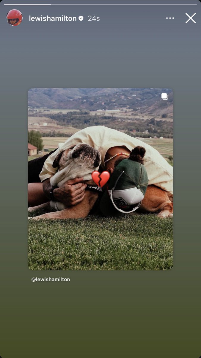 𝐑𝐄𝐁𝐎𝐑𝐍 𝐈𝐍 𝑹͟𝑬͟𝑫 tweet media