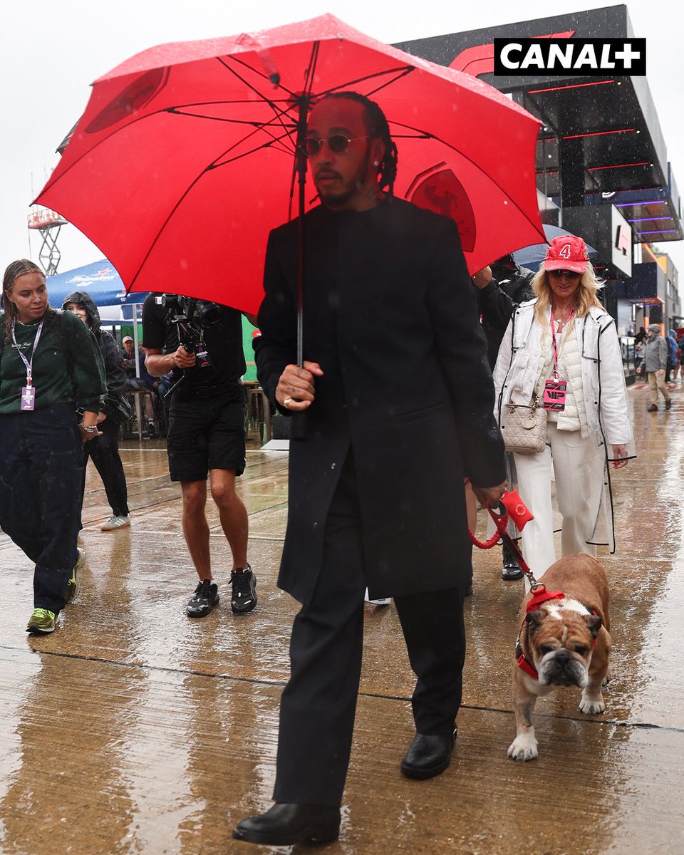 Lewis Hamilton a annoncé ce lundi la disparition de son chien Roscoe 💔

Le paddock dit au revoir à sa mascotte 😢🐾