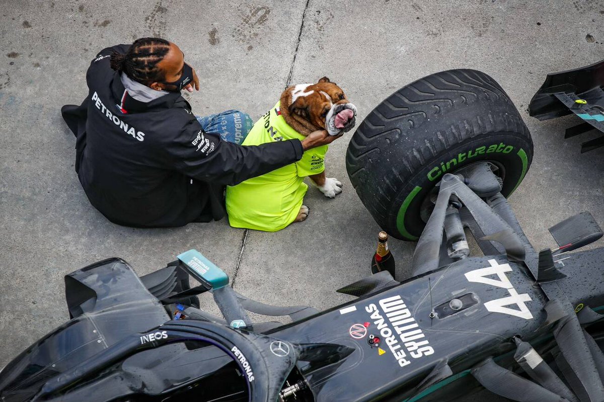 f1speed_indo's tweet photo. Roscoe lebih dari sekedar hewan peliharaan.

Tapi dia adalah bintang dan sudah jadi ikon di F1 yang setia menemani Lewis Hamilton. Kehadiran Roscoe di paddock selalu berikan senyuman dan kehangatan di tengah panasnya persaingan di sirkuit.

Selamat jalan dan salam untuk Coco di sana ✨