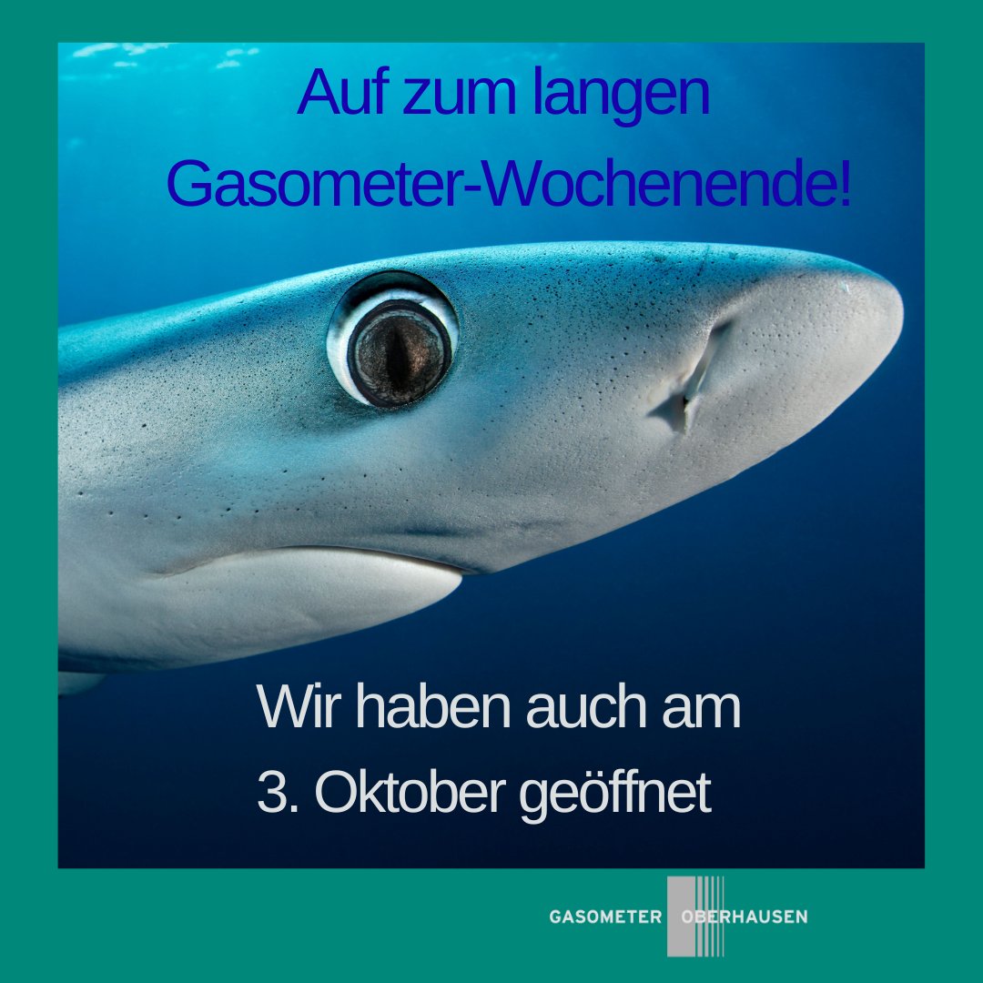 Auf zum langen Gasometer-Wochenende! 

Wir haben auch am 3. Oktober von 10 bis 18 geöffnet: gasometer.de

📷️ Tobias Friedrich