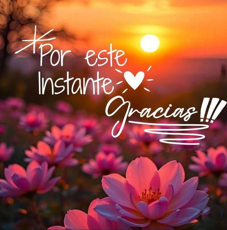 DelValleGreen's tweet photo. Disfruta tu tiempo,tu espacio,tu vida https://t.co/lBIkl6Bjka