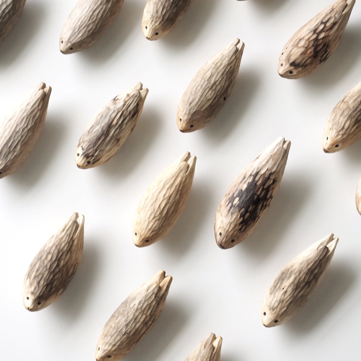 ぴすぴす tweet media