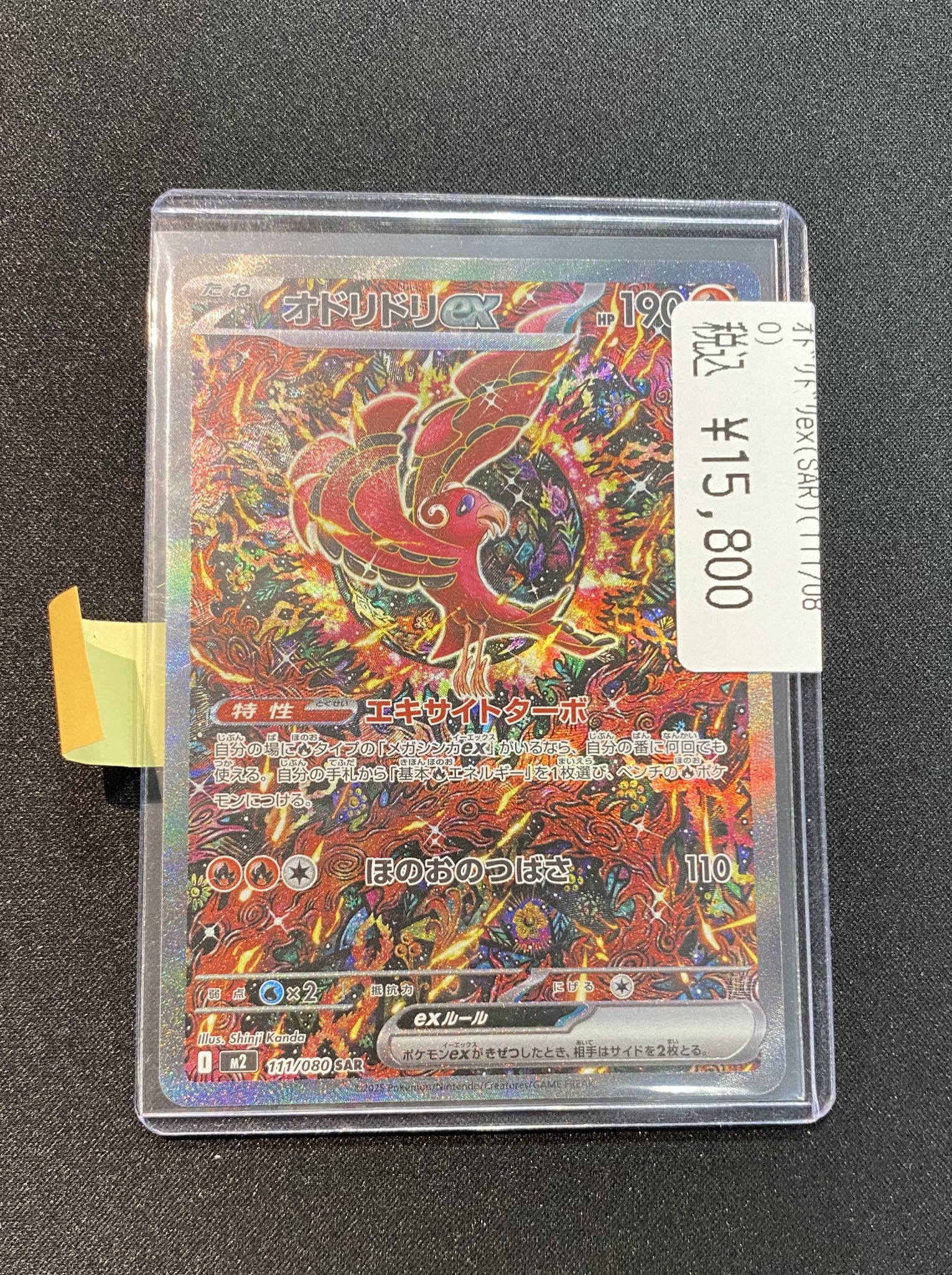 ほけほけ♡ 拡張パック「ブラックボルト」「ホワイトフレア」｜ポケモン