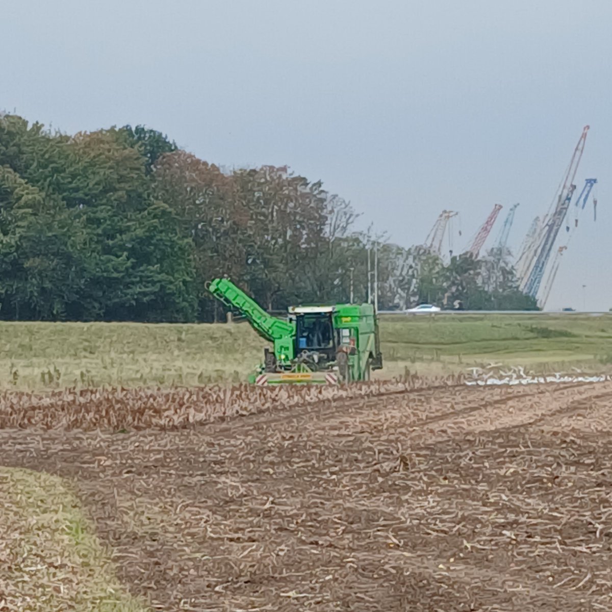 Brielse Boer akkerbouw 🚜 evenementenlocatie 🎉 tweet media