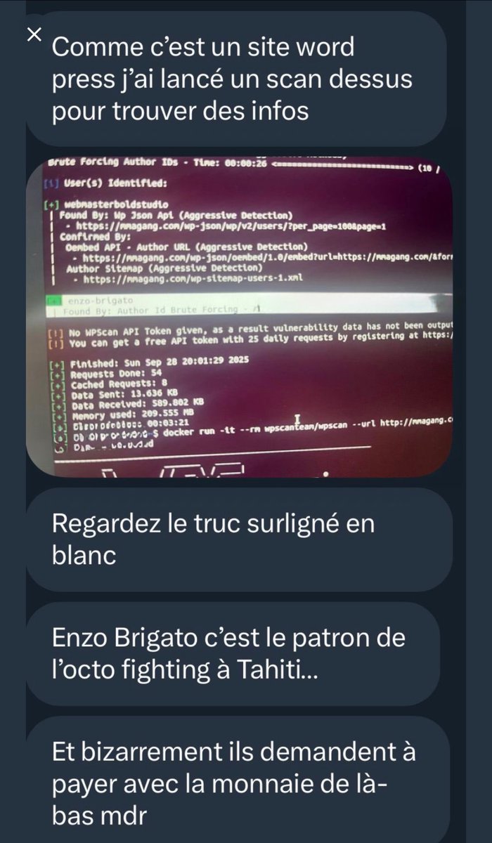 Robin du Bois de Boulogne tweet media