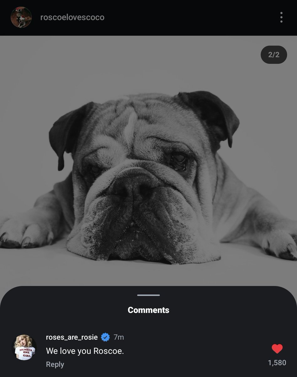 Omg this is so heartbreaking rest in peace Roscoe 😭