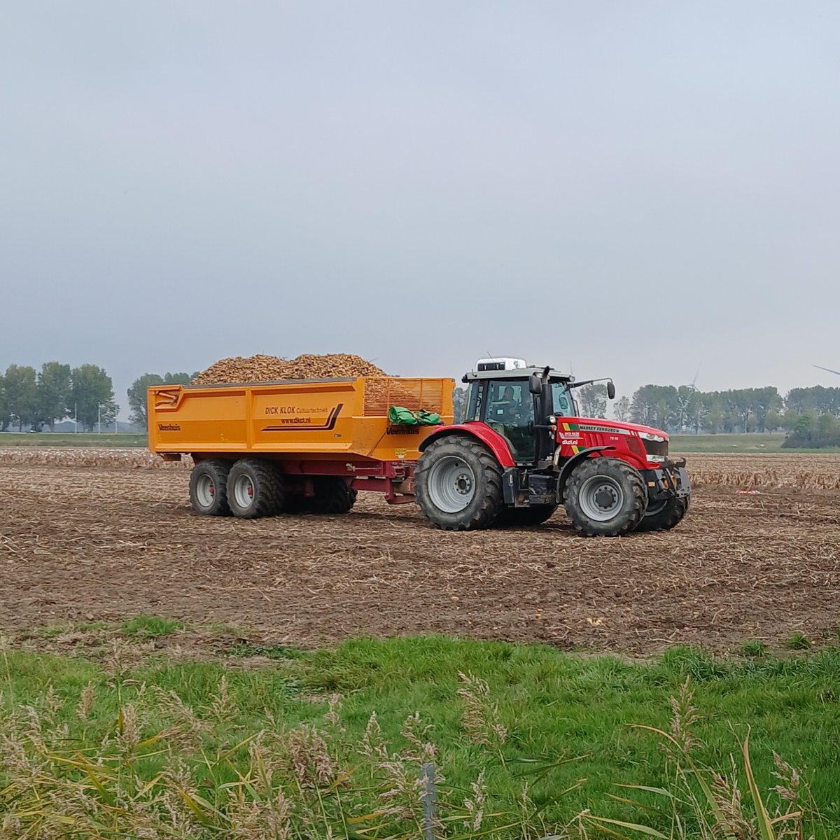 Brielse Boer akkerbouw 🚜 evenementenlocatie 🎉 tweet media