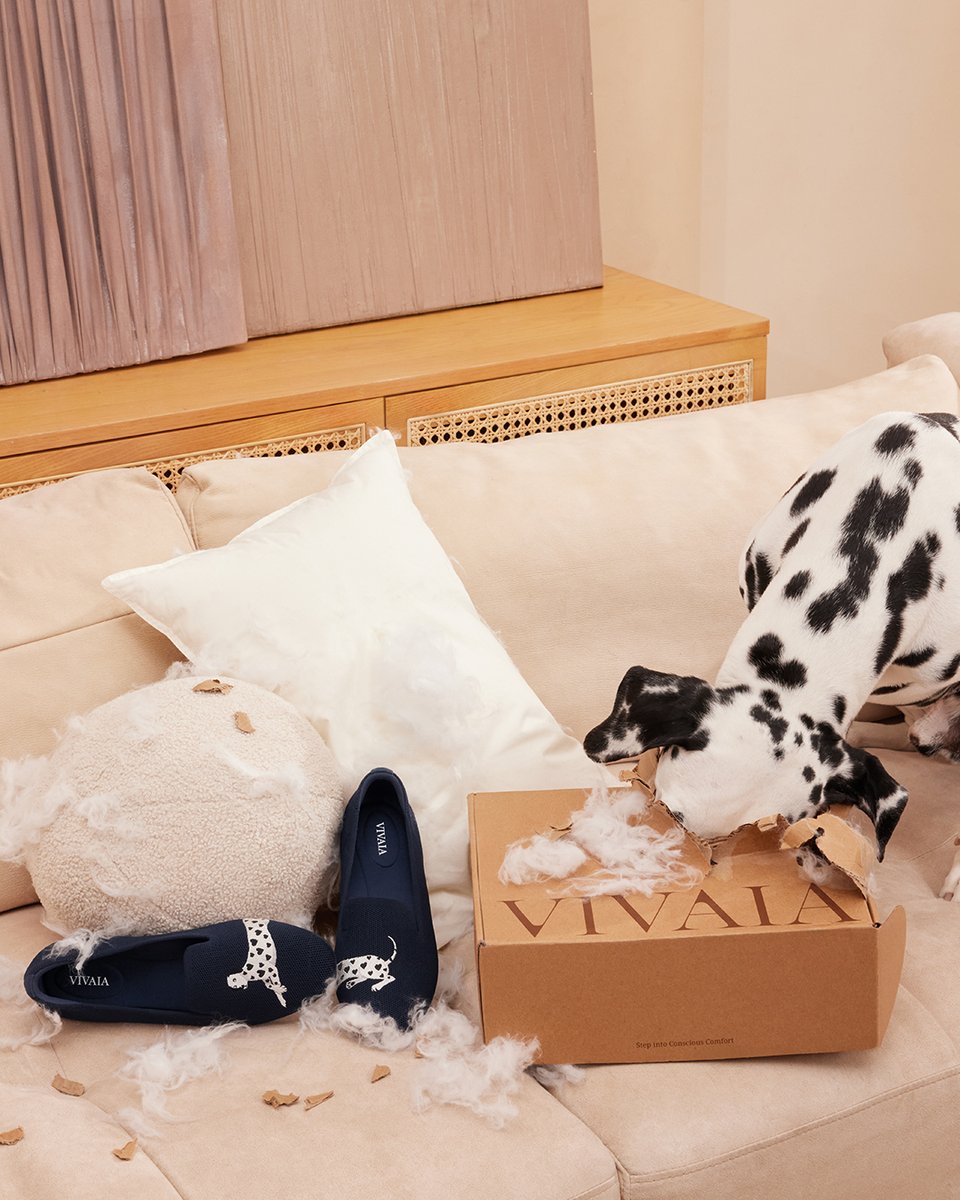 vivaia_official's tweet image. Bad News: My room was destroyed.
Good News: My favorite shoes were unharmed.
Great News: My dog couldn’t be more proud of herself 🤣

reurl.cc/LnOaba

#VIVAIA #VIVAIAAudrey #Pawrent #Loafers #VIVAIALoafers