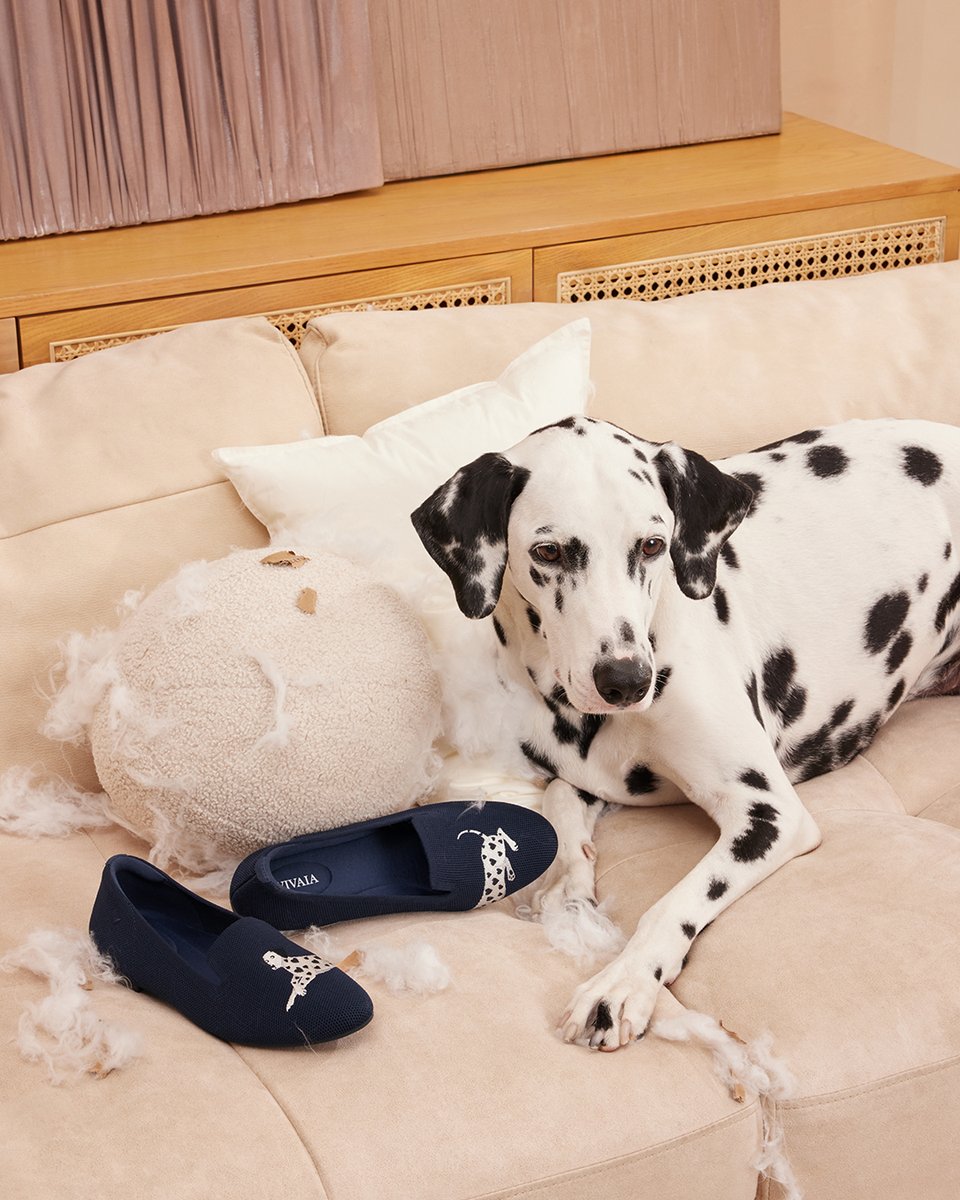 vivaia_official's tweet image. Bad News: My room was destroyed.
Good News: My favorite shoes were unharmed.
Great News: My dog couldn’t be more proud of herself 🤣

reurl.cc/LnOaba

#VIVAIA #VIVAIAAudrey #Pawrent #Loafers #VIVAIALoafers