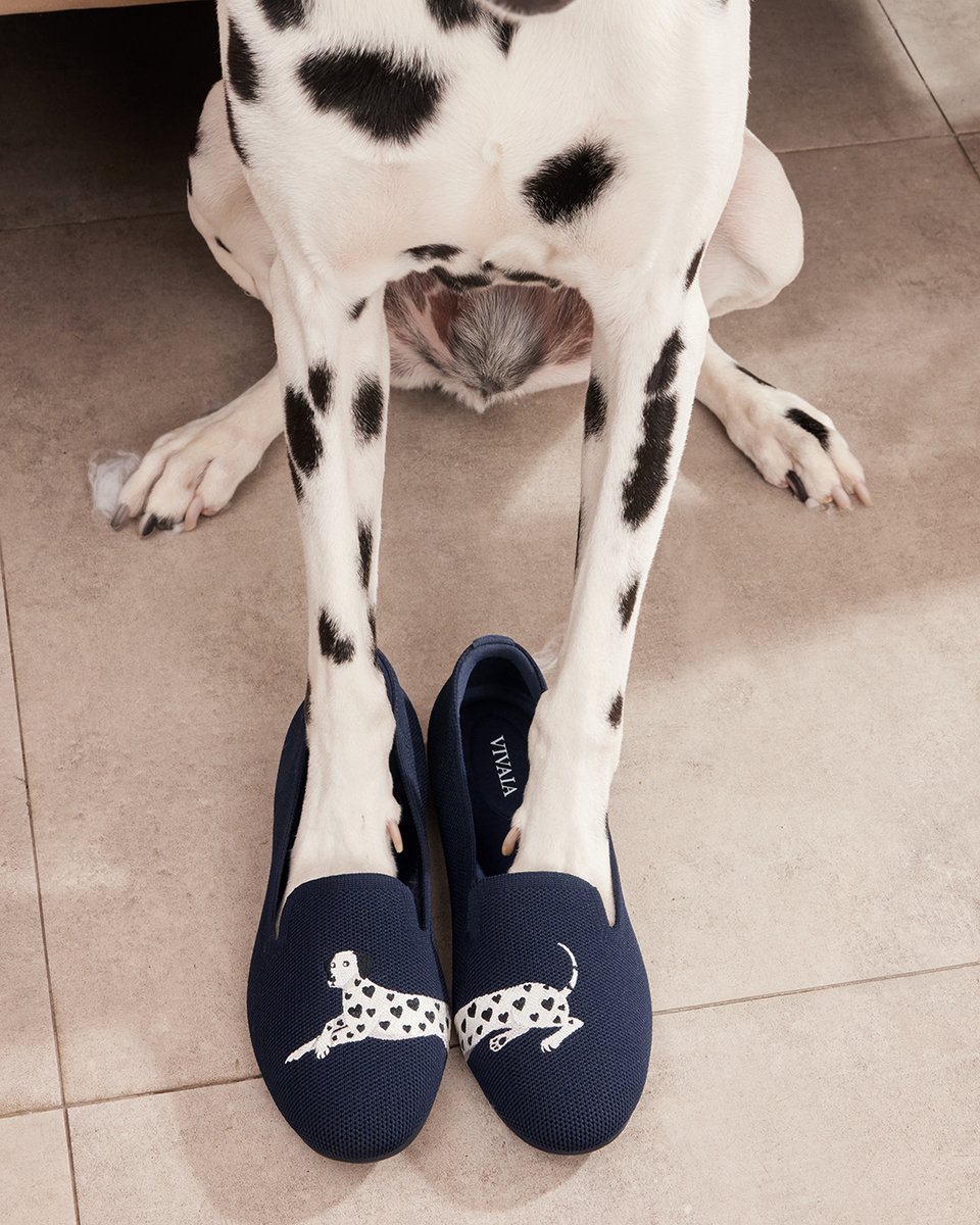 vivaia_official's tweet image. Bad News: My room was destroyed.
Good News: My favorite shoes were unharmed.
Great News: My dog couldn’t be more proud of herself 🤣

reurl.cc/LnOaba

#VIVAIA #VIVAIAAudrey #Pawrent #Loafers #VIVAIALoafers