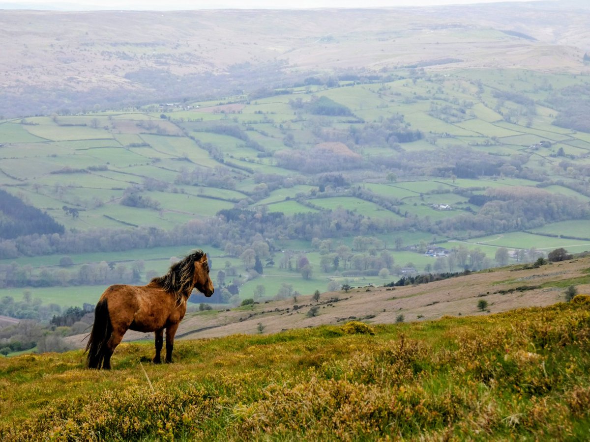"While with an eye made quiet by the power
Of harmony, and the deep power of joy,
We see into the life of things."

W. Wordsworth,  Lines Composed a Few Miles above Tintern Abbey

#ClassicLitMonday