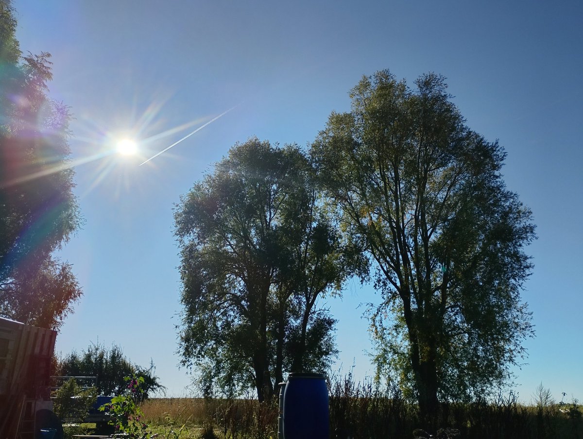 Gm gm 

What's the best free AI video app?