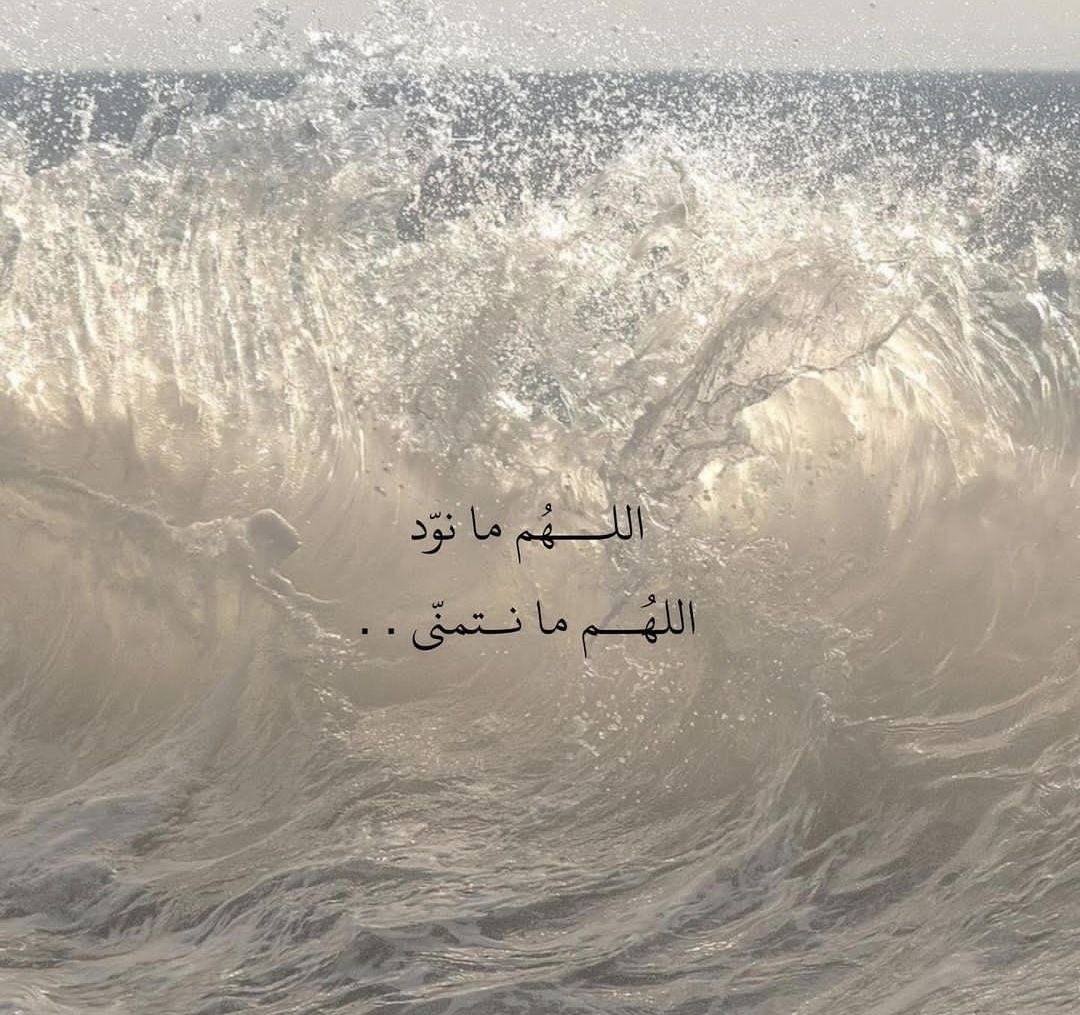 Shefa_ms's tweet image. 