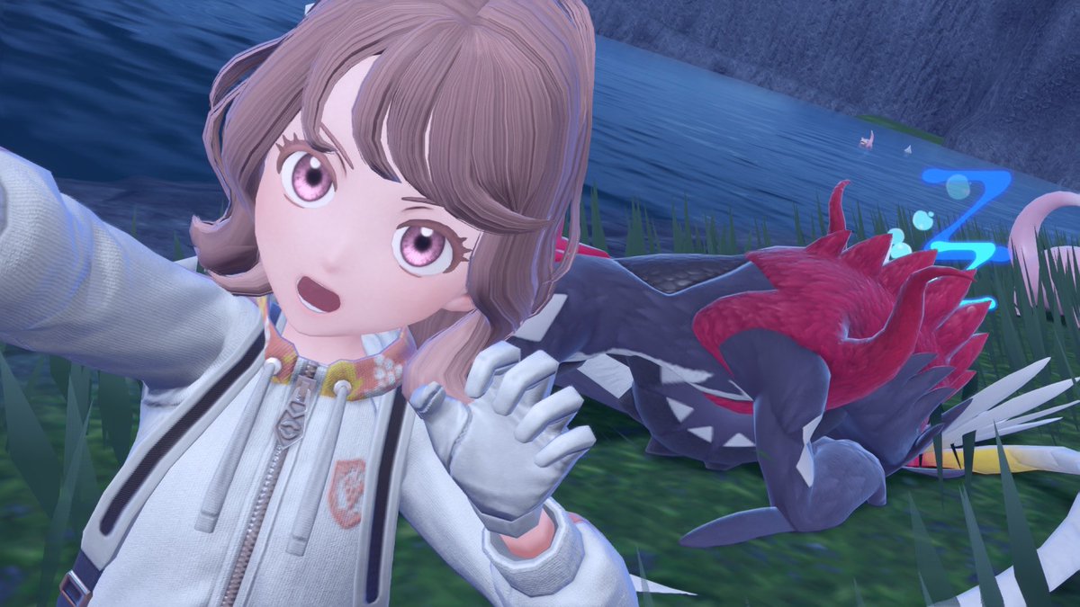 コライドンげっと〜