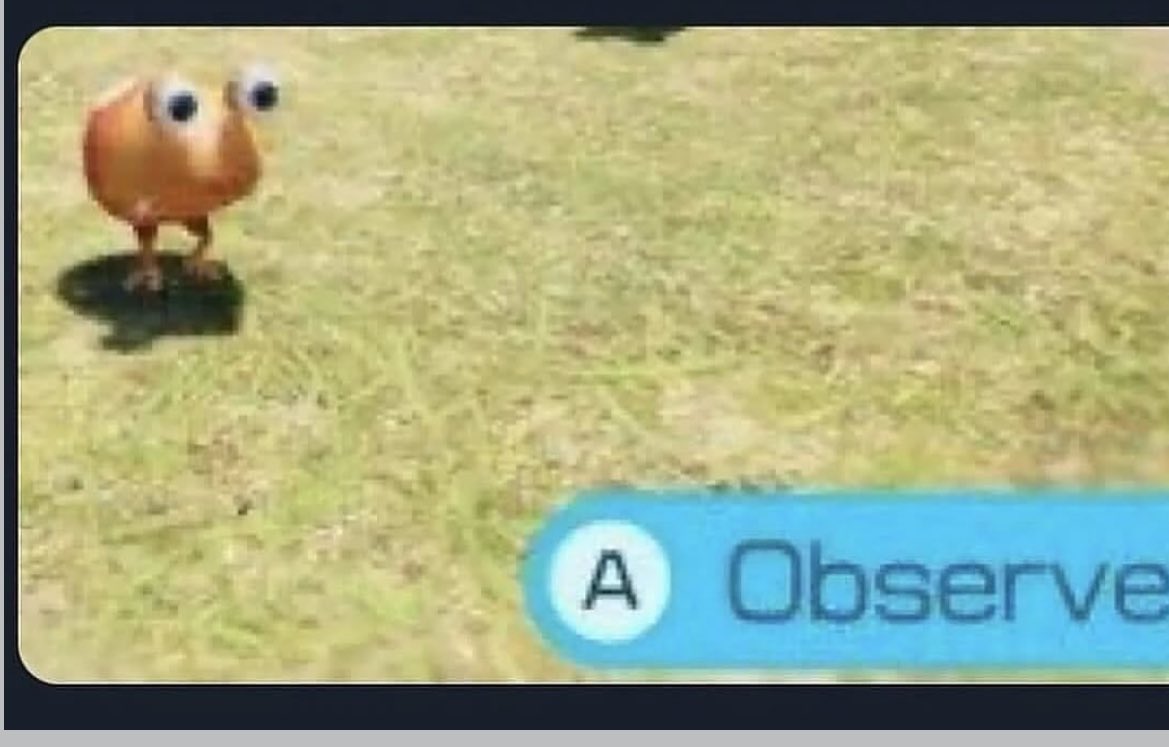 Me watching my friend do something stupid but I don’t want to stop him because I want to see what happens: